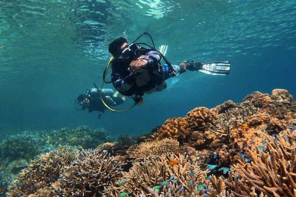 Premium Scuba Most Booked Havelock